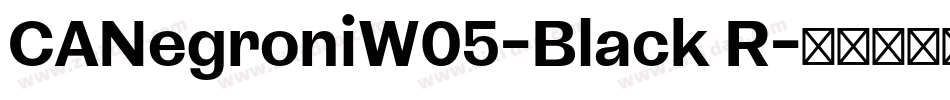 CANegroniW05-Black R字体转换